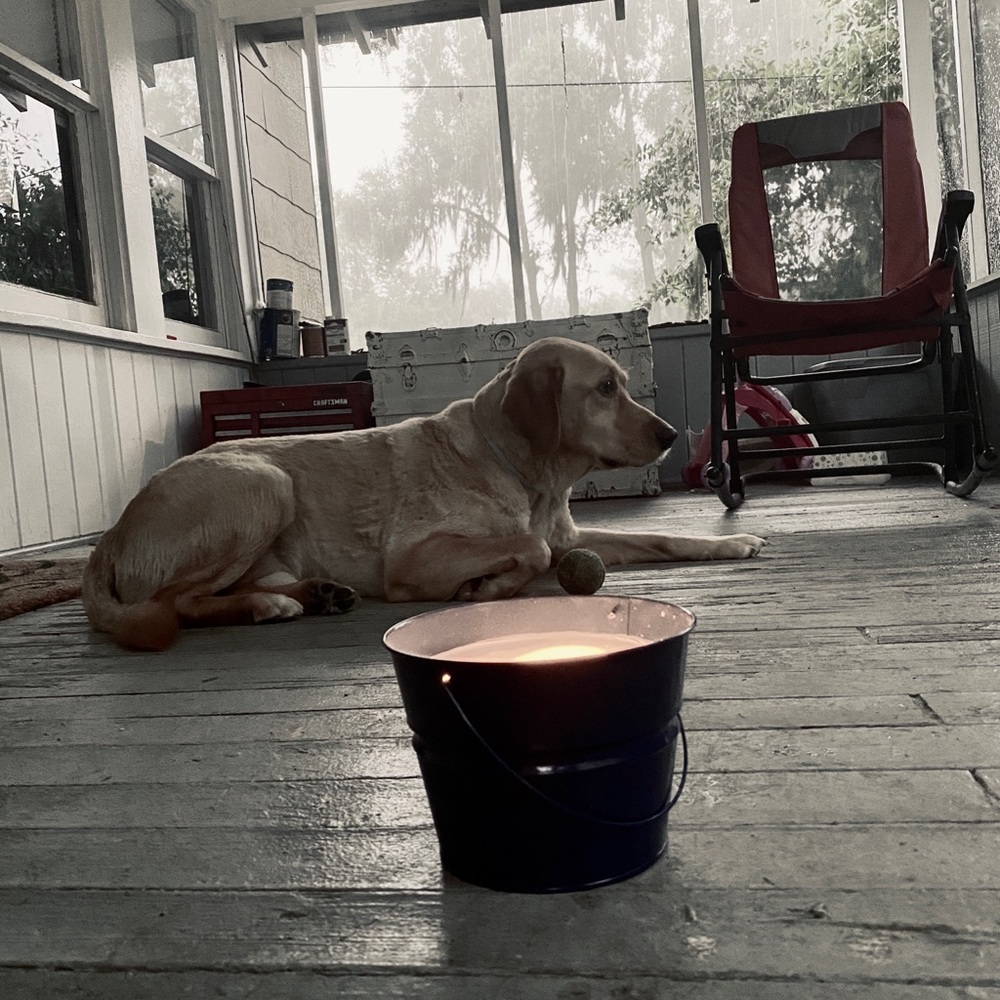 Meet your Posher, Courtney